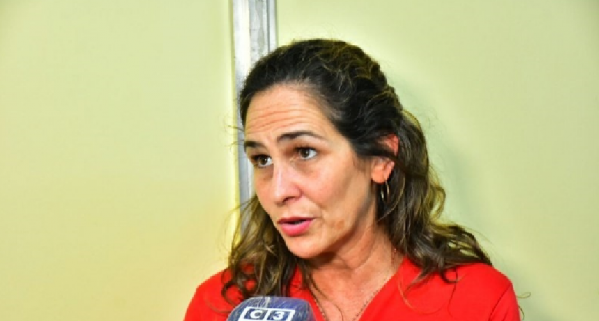 Se aguarda el pico de casos de dengue en la segunda quincena de abril