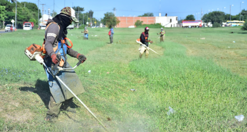 La comuna priorizó el mantenimiento del arbolado urbano en distintos puntos de la ciudad