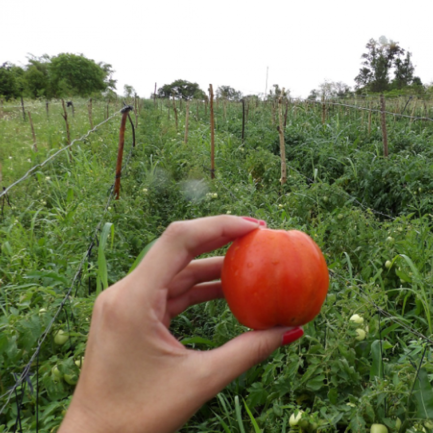 Las políticas que ejecuta el Gobierno provincial fortalecen al sector productivo
