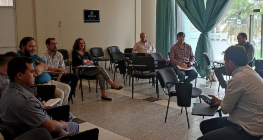 Se detectó el primer caso de influenza aviar en aves de traspatio en Formosa