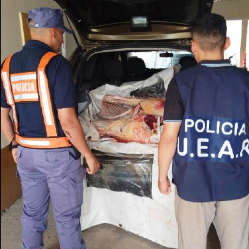 La Policía secuestró carne durante un operativo en la Ruta Provincial Nº 2