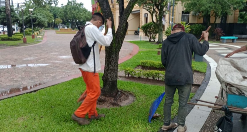 Permanente accionar del municipio para mantener y embellecer espacios p&uacute;blicos en la ciudad