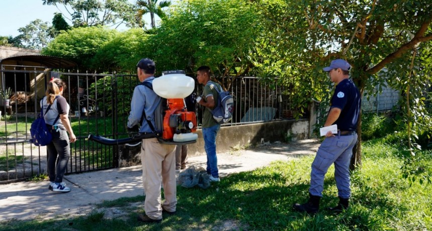 Recomiendan no relajar las medidas sanitarias en el combate contra el dengue
