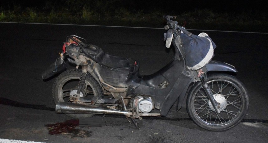 Un motociclista falleció como consecuencia de un siniestro vial en la RN 81