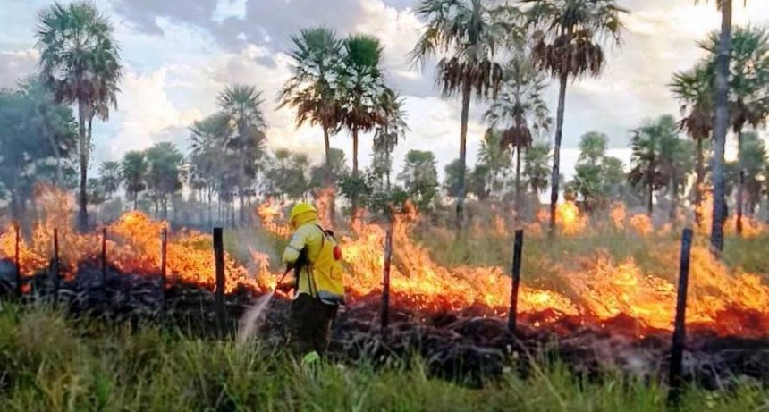 La Policía extinguió un incendio que afectó varias hectáreas de campo