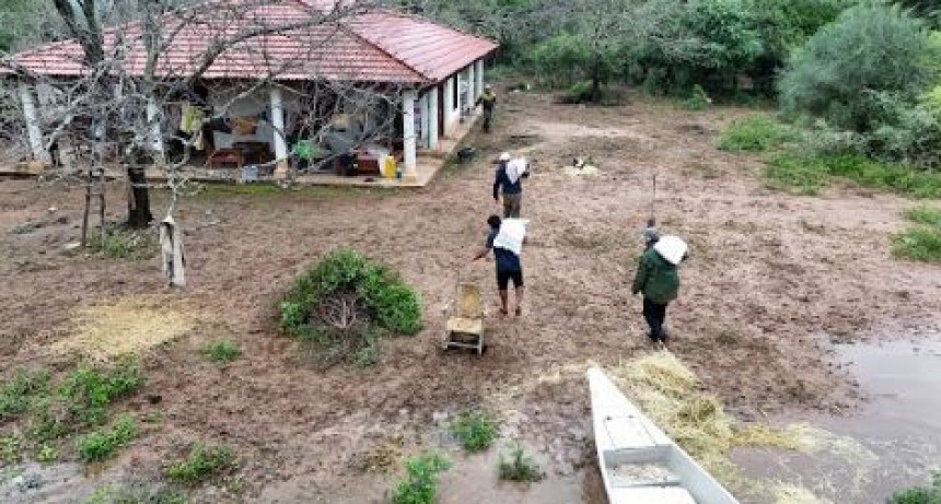 El Gobierno de Formosa sigue trabajando en zonas afectadas por desbordes del Bañado La Estrella