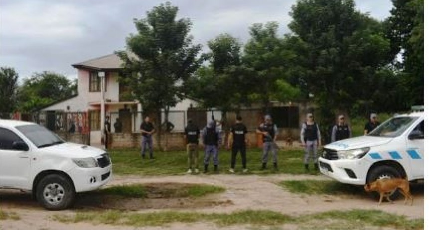 Secuestraron plantines de marihuana y detuvieron a un sujeto