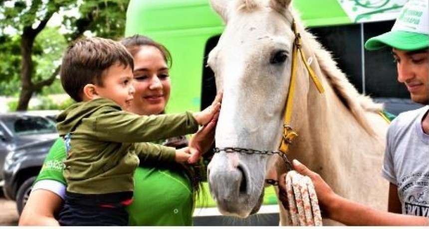 La Asociación de Padres TEA de Las Lomitas presentará el proyecto “Equinoterapia para todos”