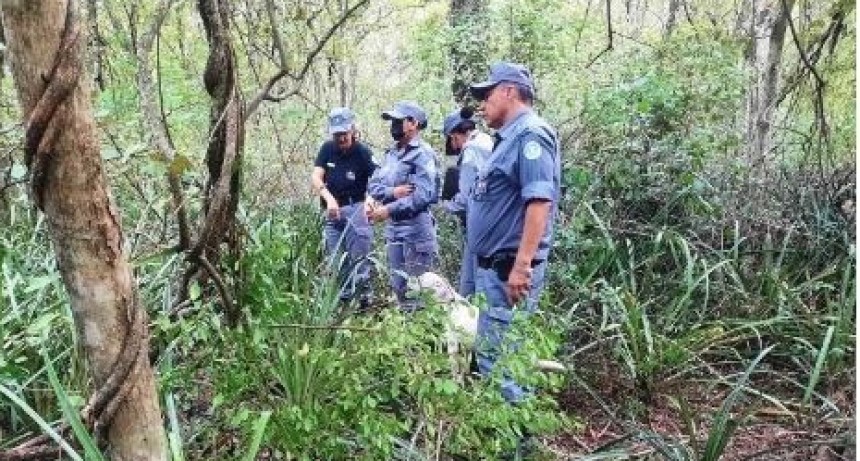 Niña fue hallada sin vida en la Colonia Weitzel: La madre de 20 años y su pareja de 24, están detenidas