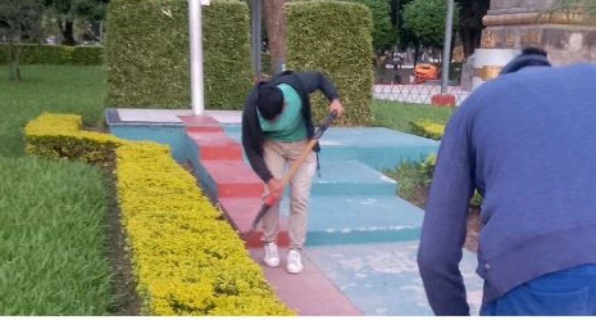 Activa intervención del municipio para el mantenimiento de espacios verdes en la ciudad