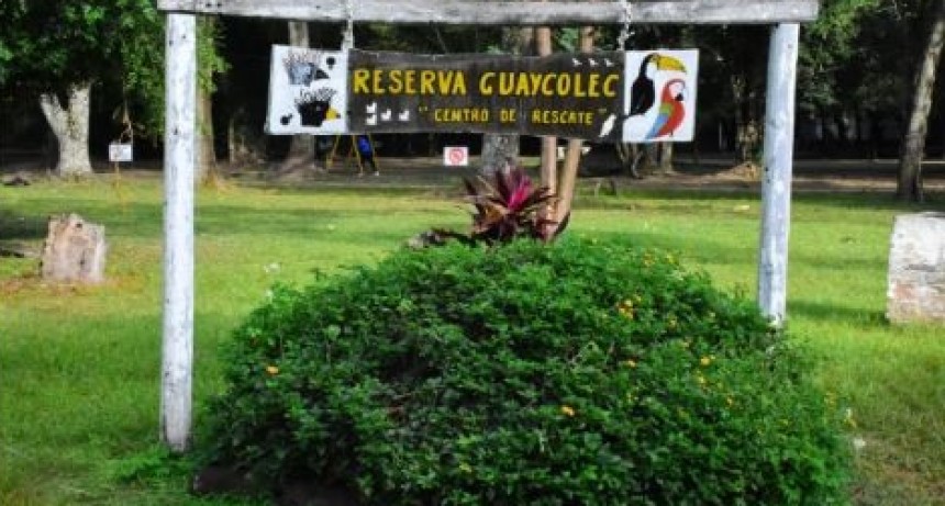 FORMOSA : Guaycolec reabrir&aacute; el fin de semana 4 y 5 de Abril