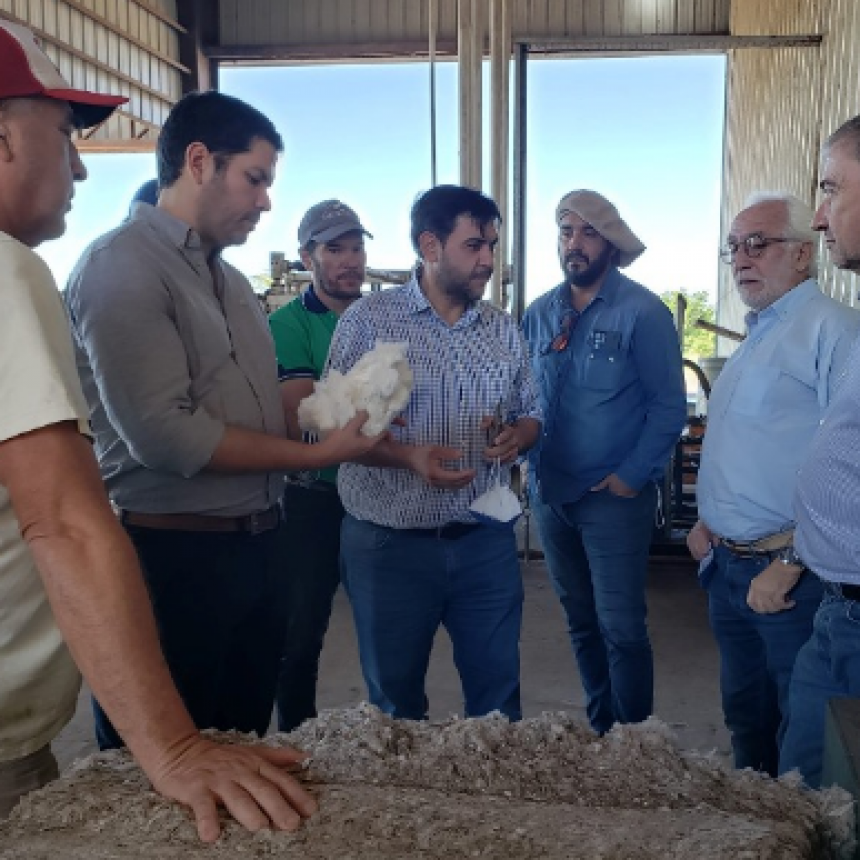 La Mesa Nacional Algodonera valoró la producción formoseña