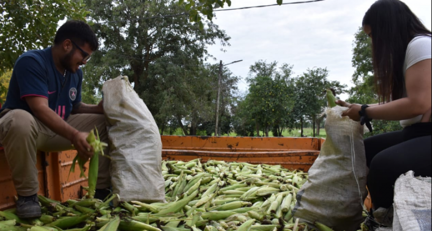 La Universidad Provincial de Laguna Blanca concretó la primera entrega de productos agropecuarios saludables al Plan Nutrir