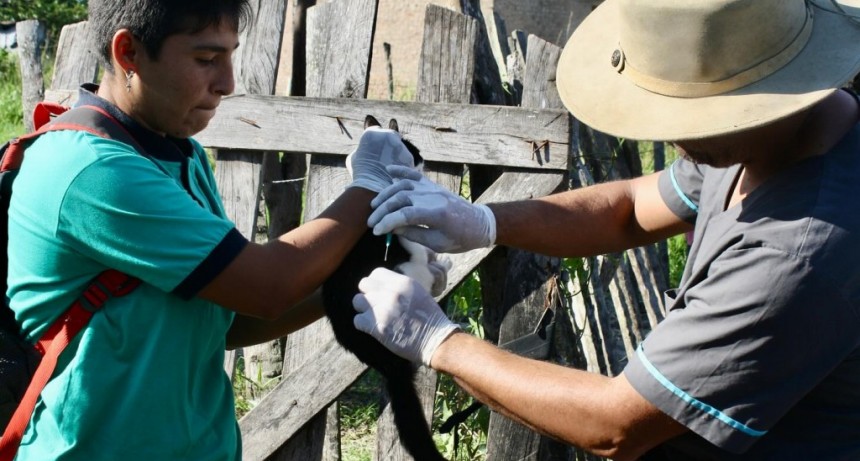 Concluyó la exitosa vacunación masiva y estratégica en el B° Namqom