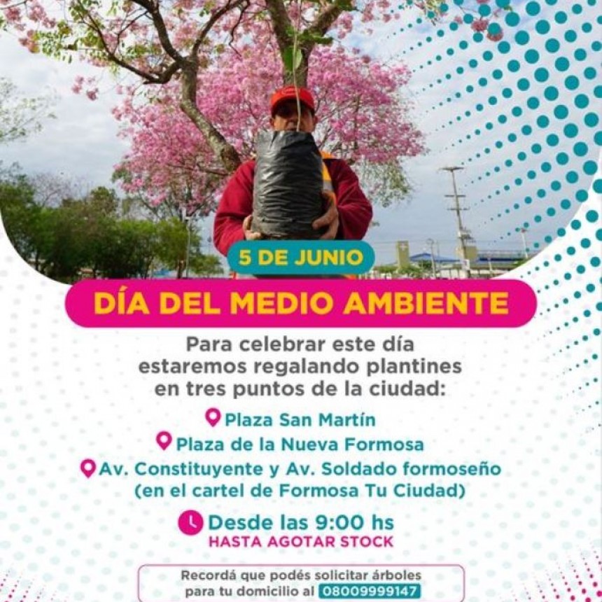 Este 5 de Junio la Municipalidad regalará plantines por el Día del Ambiente