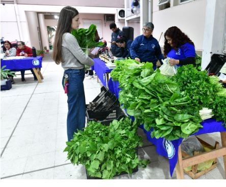 Viernes de ferias paipperas en la Capital