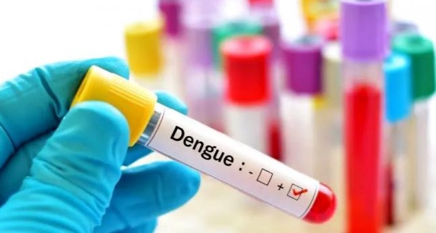 Los casos de dengue se mantuvieron sin grandes variaciones en la provincia durante la última semana