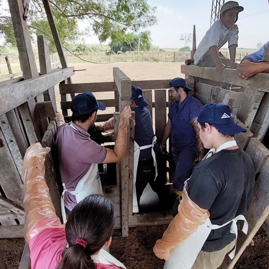 El Ministerio de la Producción y Ambiente desarrolló curso de inseminación artificial en bovinos en Pirané