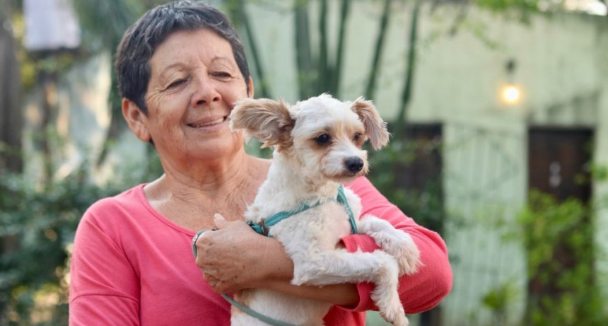 Operativo especial de castración, vacunación y desparasitación de animales en el barrio Nueva Pompeya