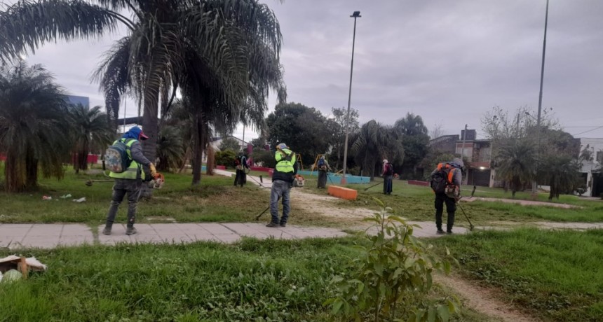 Activa intervención de la comuna en espacios verdes del ejido urbano