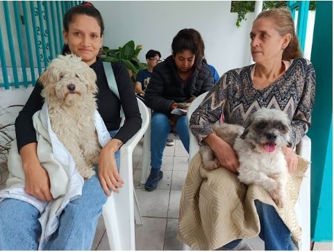 La comuna prosigue con el servicio de asistencia a los animales en distintos puntos de la ciudad