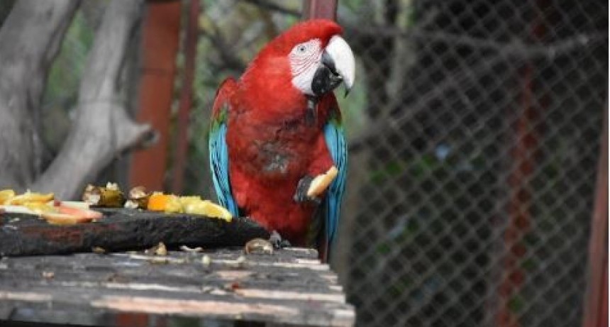 Guaycolec abre sus puertas este fin de semana largo y renueva su compromiso con el cuidado de la fauna silvestre
