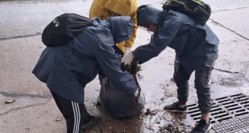 Cuadrillas comunales accionaron este sábado para optimizar el funcionamiento de los desagües pluviales