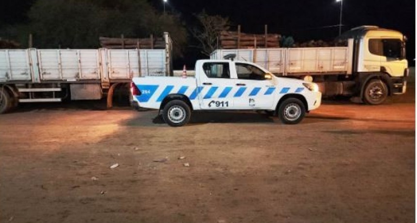 La Policía secuestró más de 500 postes de quebracho colorado transportados con documentaciones apócrifas