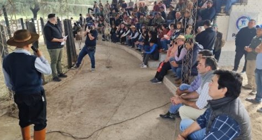Tras remate ganadero, destacan apoyo del Gobierno provincial a pequeños productores