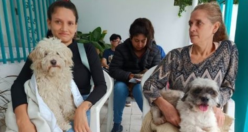 La comuna prosigue con el servicio de asistencia a los animales en distintos puntos de la ciudad