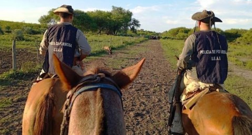 La Policía investiga un caso de abigeato
