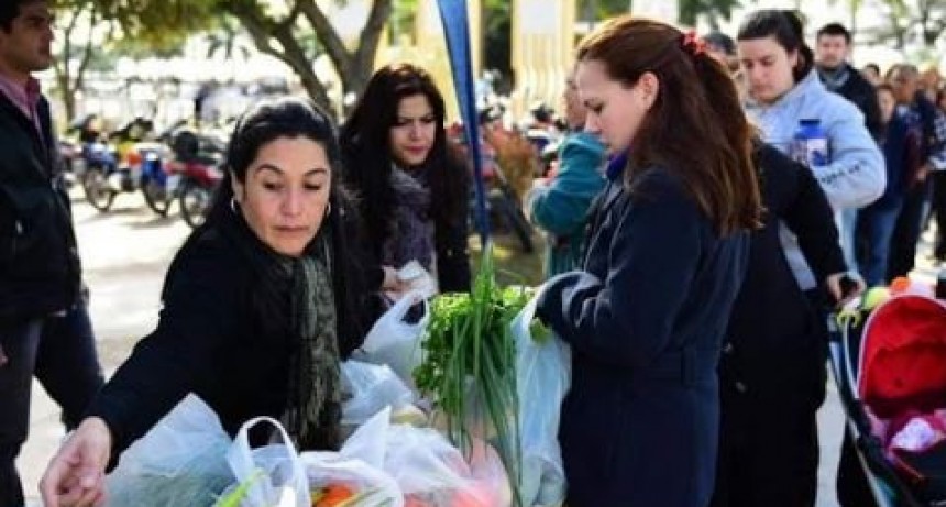 Continúan a la venta los tradicionales bolsones saludables