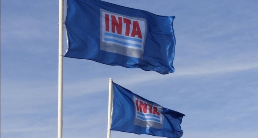 Reconfiguración del INTA: “Toman decisiones basadas solamente en planillas de cálculo”