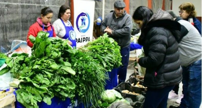 Ferias PAIPPA: producción local al alcance de todos