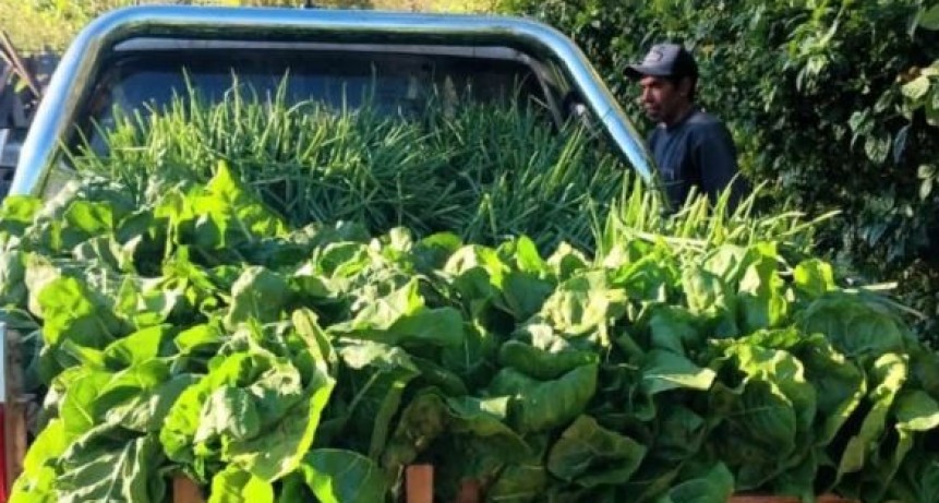 Producción  Paippera la localidad  de Riacho He-Hé