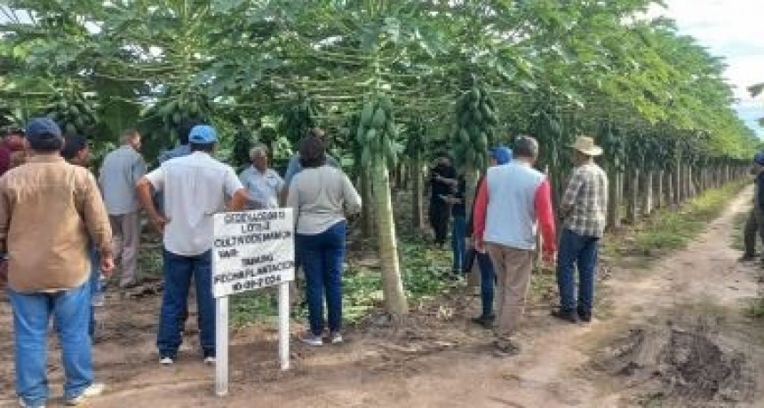 El CEDEVA celebra su 28° aniversario: una institución clave para el desarrollo agropecuario de Formosa