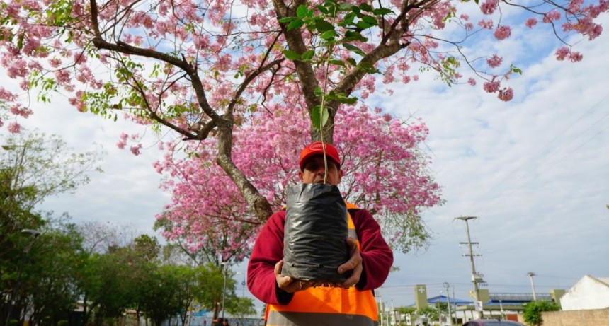 La comuna capitalina celebró el Día del Árbol con un amplio operativo de arborización