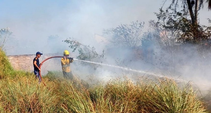 Bomberos debieron combatir varios frentes de incendios