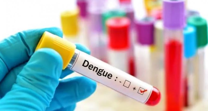 Por la aparición de nuevos casos de dengue, piden a la sociedad más compromiso en los cuidados sanitarios