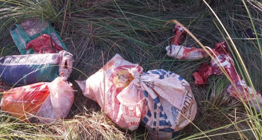 La Policía secuestró 120 kilos de carne vacuna en campo ganadero