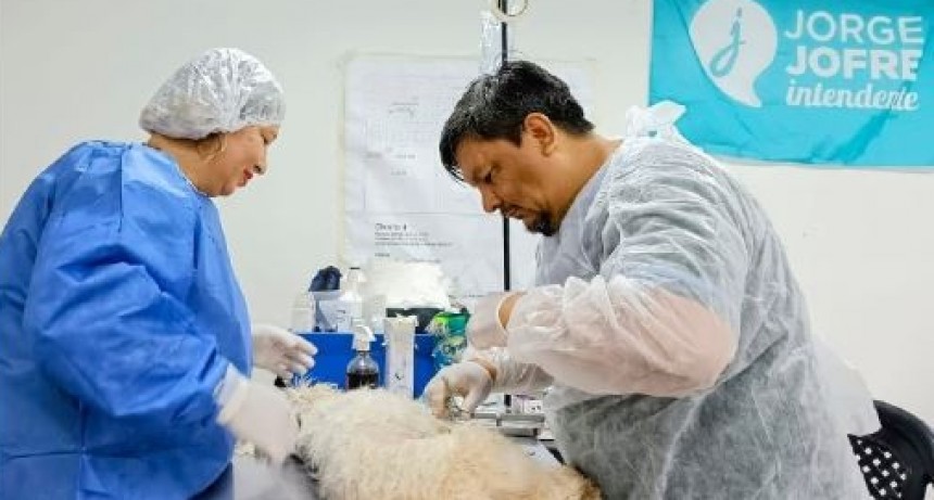 EL CASTRAMÓVIL MUNICIPAL ATENDERÁ LA PRÓXIMA SEMANA EN EL BARRIO 28 DE JUNIO 