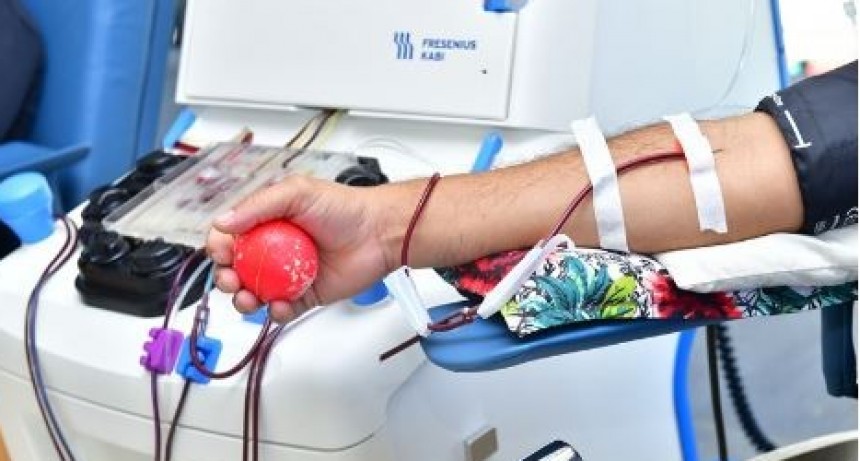 Donación de sangre: Se habilitarán nuevas unidades con entrega de equipamiento en nosocomios del interior provincial