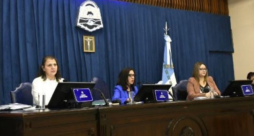La Convención Constituyente de Formosa aprobó reformas clave: identidad, ambiente y protección de datos