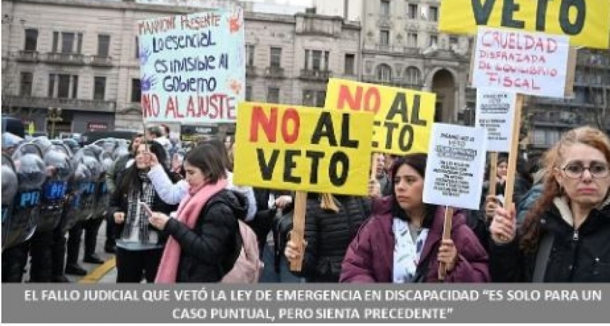 El fallo judicial que vetó la Ley de emergencia en discapacidad 