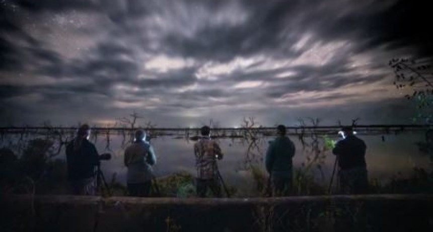 Fotógrafos de naturaleza maravillados con la rica diversidad de Formosa