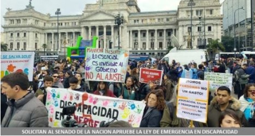Solicitan al Senado de la Nación apruebe la ley de emergencia en discapacidad