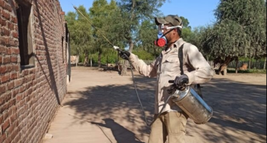 Chagas: Operativos contra la vinchuca en el interior provincial