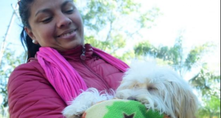 Este martes se tratar&aacute; en comisi&oacute;n del HCD Proyecto de Ordenanza del R&eacute;gimen Municipal de Protecci&oacute;n de Animales