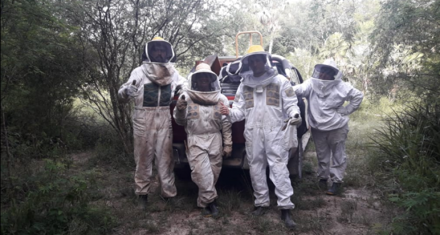 Metas Claras: &ldquo;Pasi&oacute;n por los dulces insectos&rdquo;