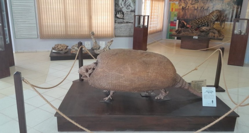 Con un acto, celebrarán el décimo aniversario del Museo Provincial de Ciencias Naturales